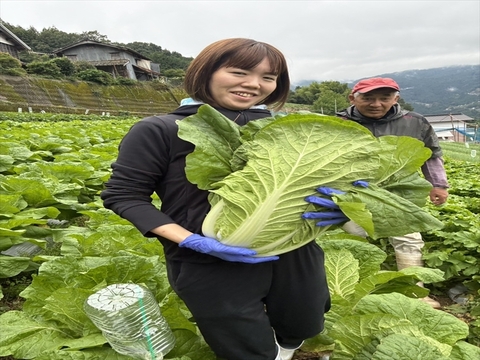 年末年始のおもてなしに超豪華セット５０００円コース
農家人ではなく「お客様」が選ぶ旬野菜のおまかせセットです。
食べた人にしか解らない感動をお届けします。
田口農園徳島の総力を挙げた商品です