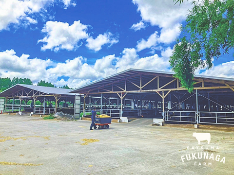 ＼最優秀賞受賞牛／幻のサーロインしゃぶしゃぶ(3枚230g)受賞肉 鹿児島県 黒毛和牛 さつま福永牛 牛肉［ 数量限定 お取り寄せ 贈り物 和牛 ギフト ］