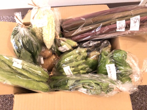 自然栽培野菜Mセット7～9種類