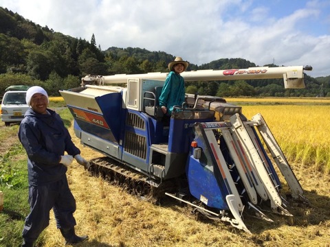 【青森・外ヶ浜ファーム直産】 はれわたり 10kg《大大大好評！！》地産地消・低農薬米