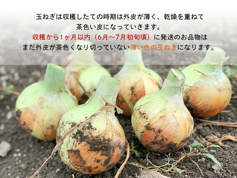 【3kgクール便】淡路島産たまねぎ 特別栽培 兵庫県認証食品 レシピ付き！