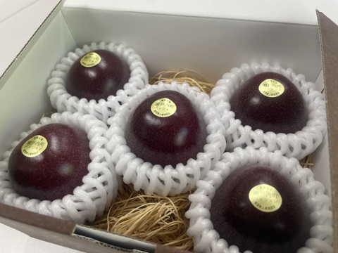 プチギフトに◎皇室献上品産地のパッションフルーツ・5個入り