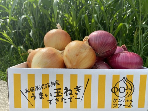 【期間限定!】淡路島たまねぎ☆食べ比べ☆セット 10kg