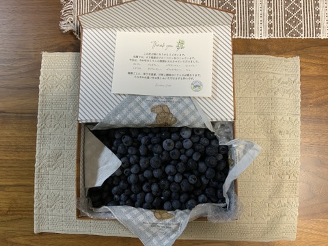 【極上】完熟 生ブルーベリー！ 甘くてジューシーな 1kg