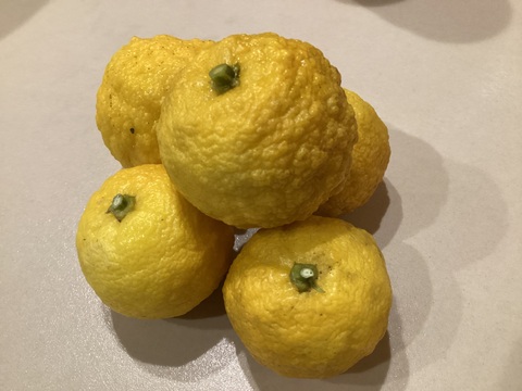 完熟スダチときび砂糖のマーマレード175g食お試し価格