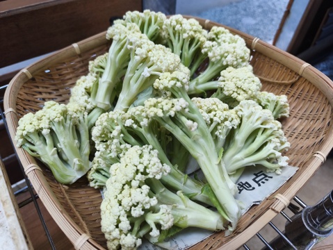 茎まで甘い、サクッとした歯ごたえ。採りたて「カリフローレ」
