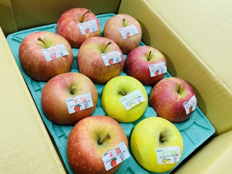 旬のりんご4品種食べ比べセット3ｋｇ（早生ふじ、星の金貨、千雪、シナノスイート）