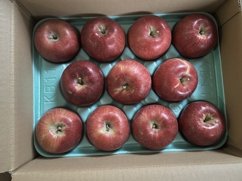 【シナノスイート】家庭用  ジュワッと甘〜い人気品種！