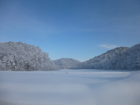 自然栽培米　ゆきひかり　北海道　玄米10kg