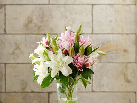 【母の日ギフト】■八重ユリmix5本束■　ギフトラッピング付き　品種指定はできません<(_ _)>