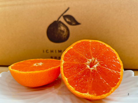 超完熟宮川早生⭐︎屋根かけ越冬みかん　3キロSサイズ　家庭用　有田みかん　早生みかん