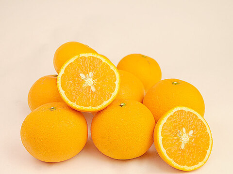 きよみ【家庭用(訳あり)】5kg