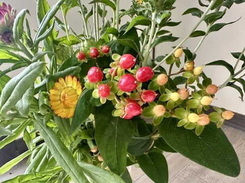 【長持ちシリーズ 〜暮らしを長く彩る花たち〜！20本】人気あり！花農家から直送！“長く寄り添う花束”です。生花として楽しんだ後は、そのままドライフラワーとしてもお楽しみいただけます。プレゼントOK!