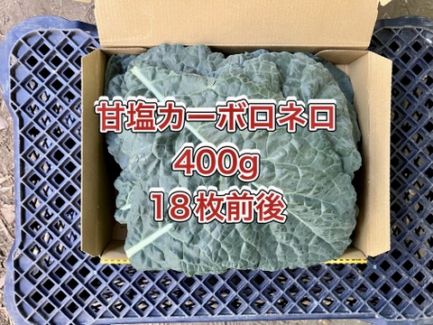 【鹿児島産】甘塩カーボロネロ箱込み400g^_^