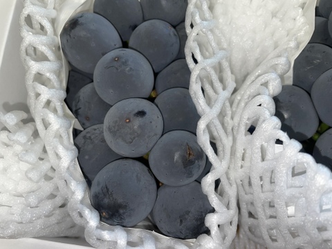 フルーツ王国やまなしの濃厚な巨峰（1㎏約2房）