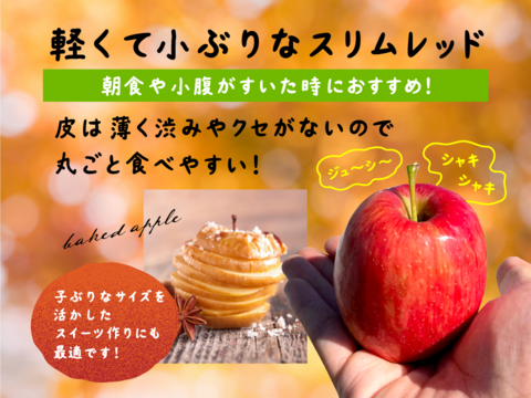 年明け発送🍎【幻の小玉第3弾】スリムレッド シャキッとジューシー 3キロ箱使用 9〜25玉程度　商品ID51599 長野県 信州 安曇野 リンゴ 幻 幻のリンゴ 予約 希少 旬