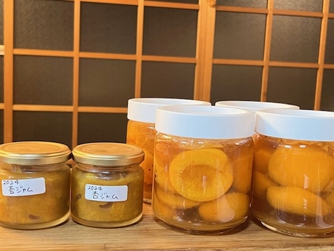 限定一箱】自然栽培の杏（あんず）生食・加工用3kg（品種・信州