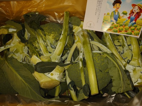 深谷産ブロッコリー　L～LL  サイズ8本入り