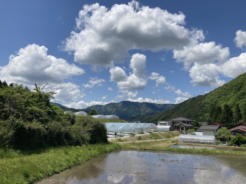 【有機JAS】飛騨産大玉トマト2キロ箱
今年もやっぱり丸かじり！麗月