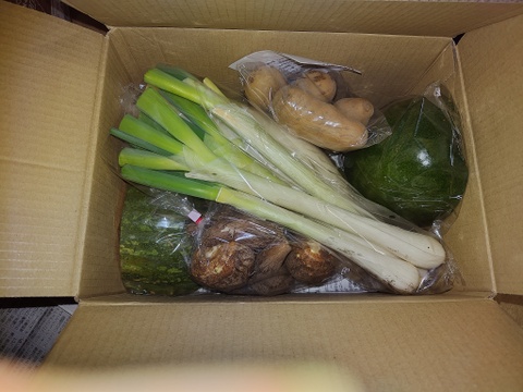 ♪食べきり♪『農薬、化学肥料不使用』【1~2人前】季節の野菜SSセット（5～6品）「群馬県高崎産」