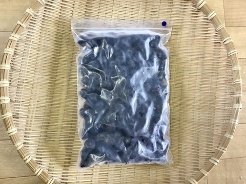 【岩手県産】冷凍ブルーベリー500g【加工向け】