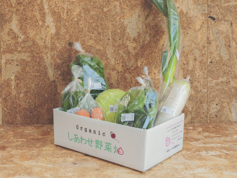 旬の有機野菜Mセット　しあわせ野菜畑（有機JAS）