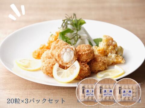 生パン粉をひとつひとつ丁寧に付けた、むつ湾産ほたての濃厚な味わい「漁師のほたてフライ」【20粒】×3パックセット