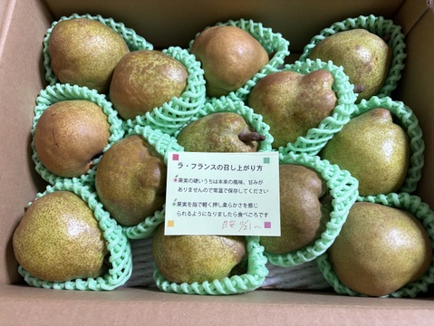 【すぐ発送できます】一番人気✨山形特選ラフランス【食べきりMLサイズ3キロ】