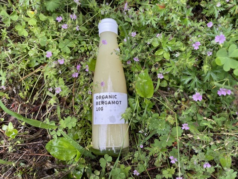 他にはない！？国産ベルガモット果汁100%(農薬・除草剤・化学肥料不使用）