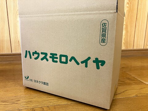 滑らか食感の夏野菜！ハウスモロヘイヤ（100g×10袋）