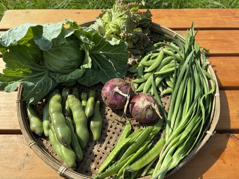 農薬・化学肥料・動物性肥料は一切不使用【自然栽培・菌ちゃん農法】丹沢山麓の固定種・在来種野菜Mセット&えごま油　80サイズ5〜8品種