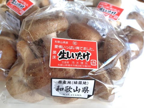 菌床生しいたけ！小さくても美味しい１㎏