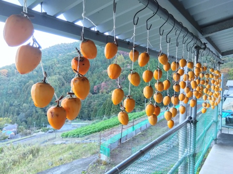 干し柿が甘くなりましたので販売開始いたします。
１２５ｇ入り（２～４個）真空パックを２パックでお届けします。