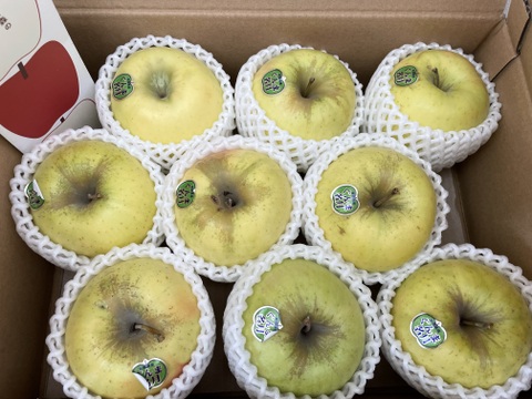 感謝！ありがとうございます！2024年度最終出荷【ぐんま名月】家庭用３キロ🍏おうちりんご🍏希少品種🍏