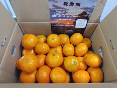 今年もありがとうございました！有田みかん混合3kg！お試し価格