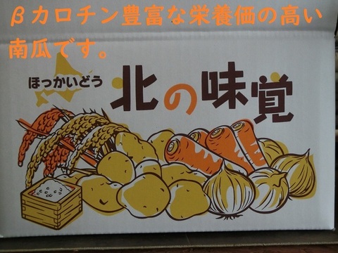 栗のような味わいの南瓜 九重栗　５ｋｇ箱(3玉入）【北海道富良野産】