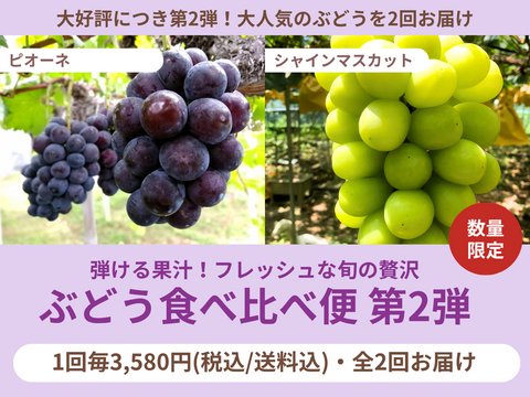 【売り切れ】【限定300セット】ぶどう食べ比べ便　第2弾（食べチョク公式）