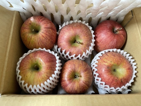 信州りんご🍎少量約1.5キロ(6～8個)
