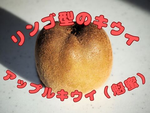 「アップルキウイ」甘い！黄色果肉種　1kg