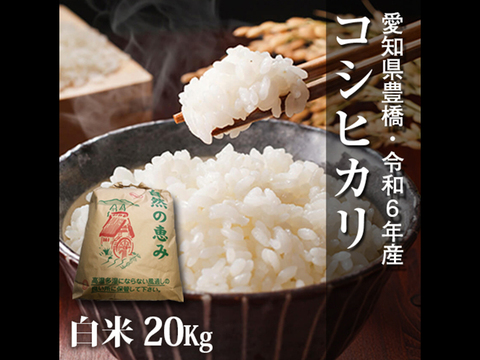 【節減対象農薬6割減】】コシヒカリ 白米 20kg（10kg×2袋）【令和6年・愛知県産】