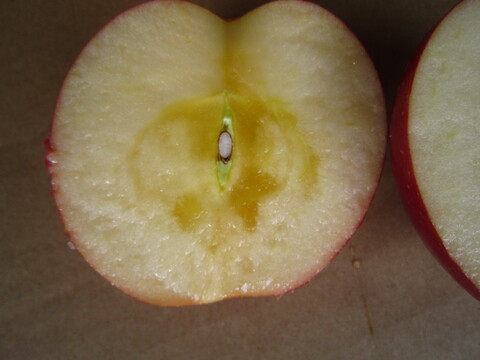 美味しい小玉 樹上完熟サンふじ 総重量 約4kg前後 青森県 南部地方産 自家りんご農園生産直送品！