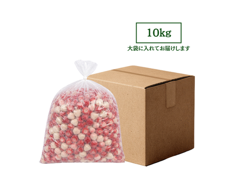 【紅白冷凍いちご10kg】真っ赤な【あまおう】× 希少な白いちご【きゃんでぃべりー】