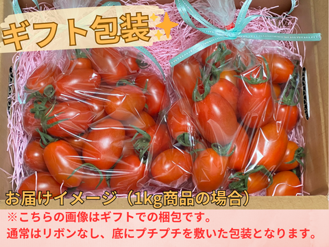 【まずはこれから！】アイコ（500g）とフルティカ（500g）のジューシートマト🍅食べ比べセット（計1キロ）