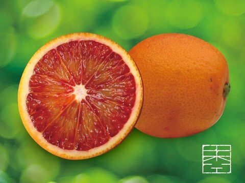 そらブラッドオレンジ【農家直送 /国産】3kg