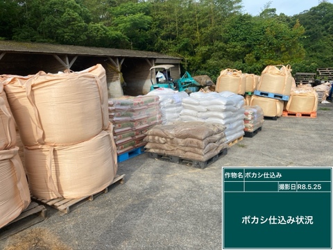河内晩柑　(ご家庭用３kg)