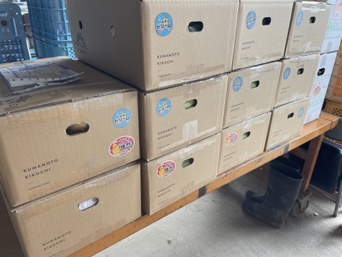 極甘『ドルチェドリーム』4キロ