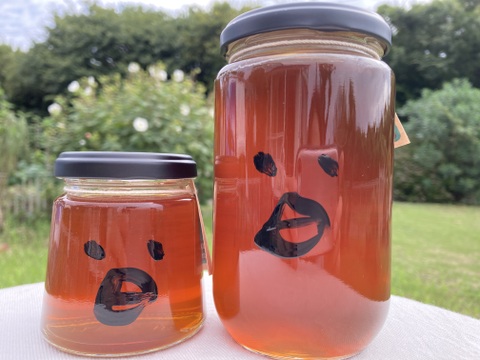 初秋のハチミツさん　450g