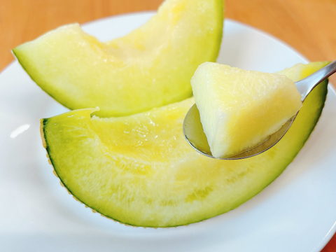 【1玉】大きくてジューシーな甘さ！岡山県産マスクメロン（訳あり品/1.6kg以上)