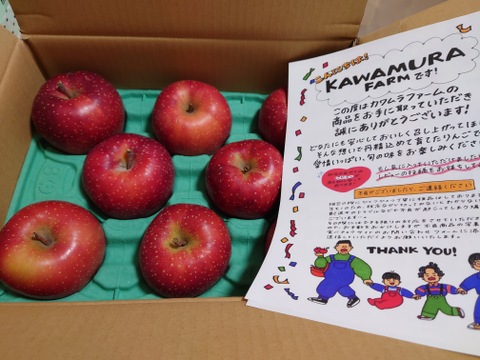 2026年度産予約開始🙇このりんご絶対食べて欲しい‼️甘くて芳醇な香り🍎千雪りんご6キロ