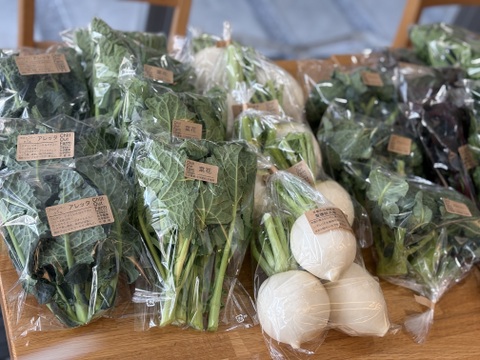 アレッタ800g（およそ５袋分）と他4種類の野菜セット！【ブロッコリー×ケールの野菜】/農薬・化学肥料不使用（簡単な調理例記載あり！）